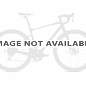 GIANT SLR2 36 TUBELESS DISC BRAKE FW