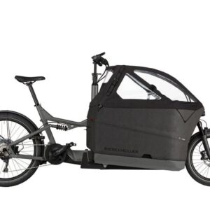 Riese & Müller Packster2 70 CT vario 750wh Kids rx chip urban grey matt uni 2025