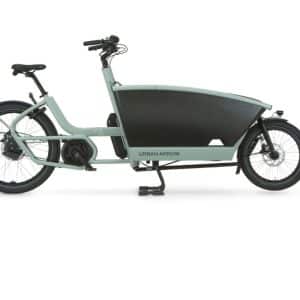 FAMILY AP GREEN L 25